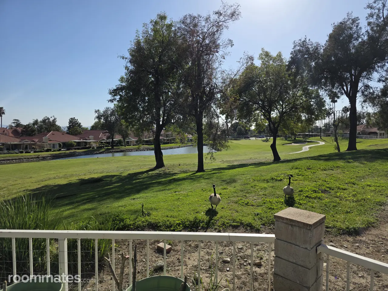 Profile photo 9 of 10