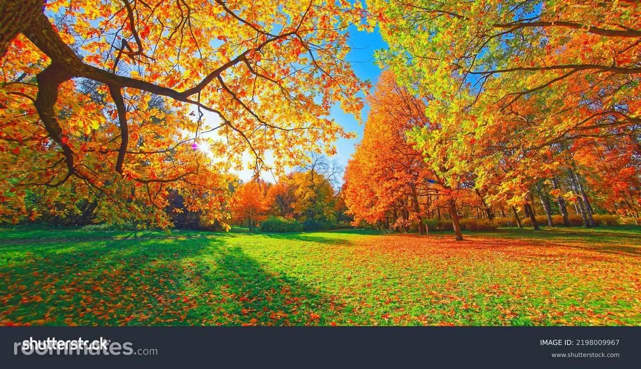 Profile photo 2 of 2