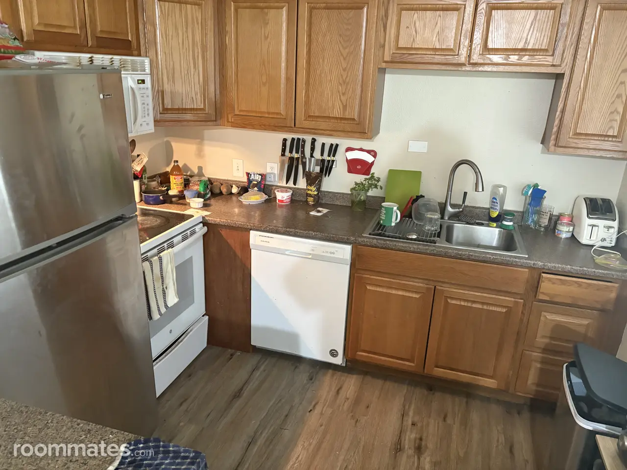 Profile photo 4 of 14