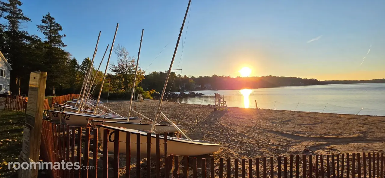 Profile photo 8 of 11