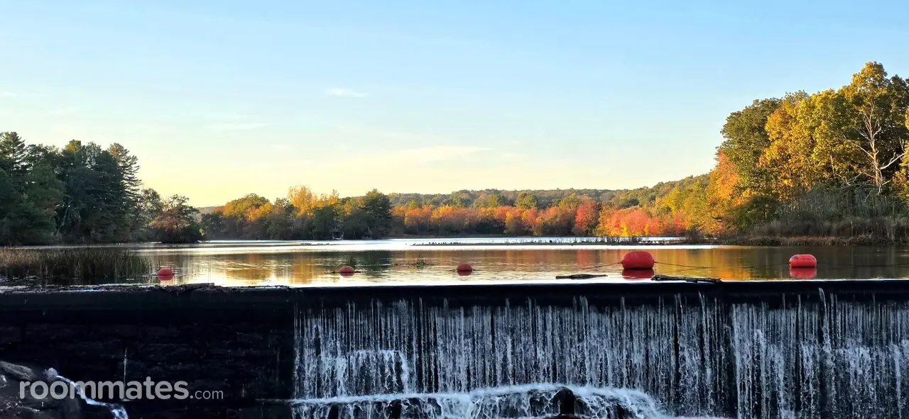 Profile photo 9 of 11