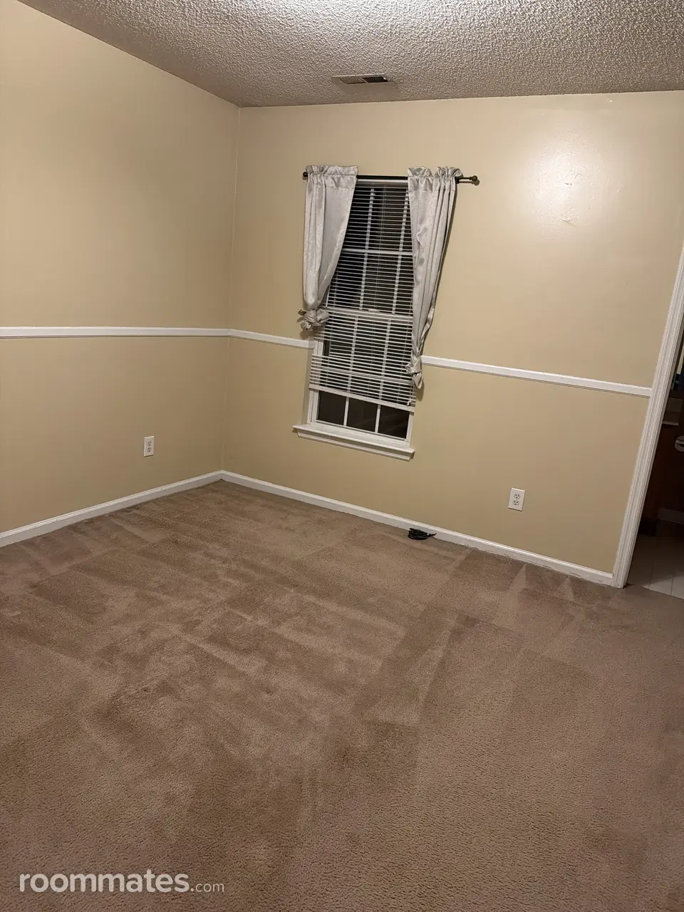 Profile photo 1 of 11