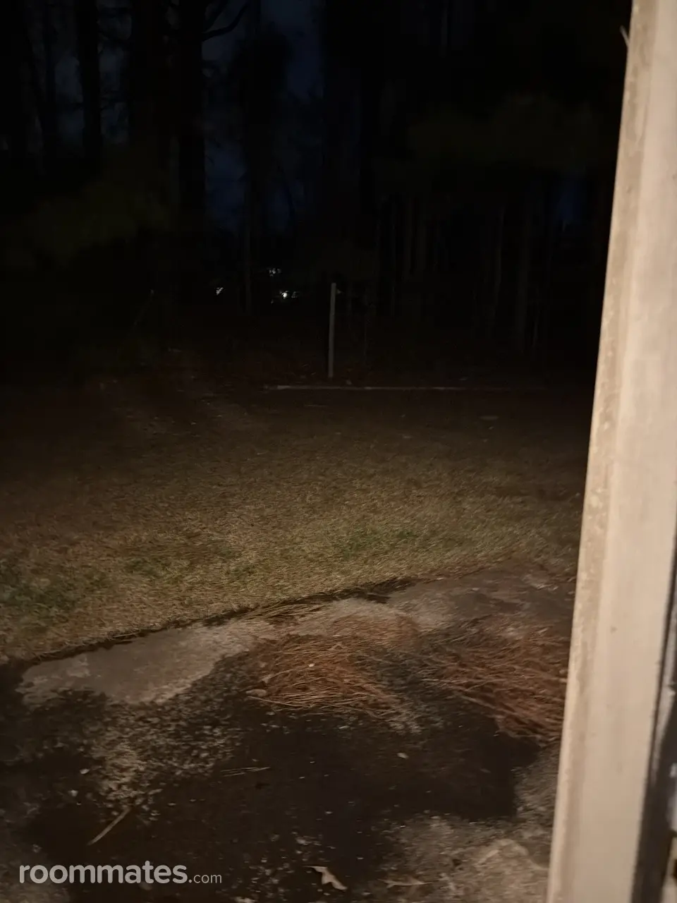 Profile photo 9 of 11