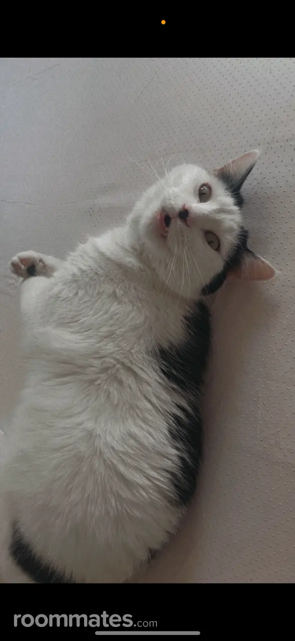 Profile photo 2 of 2