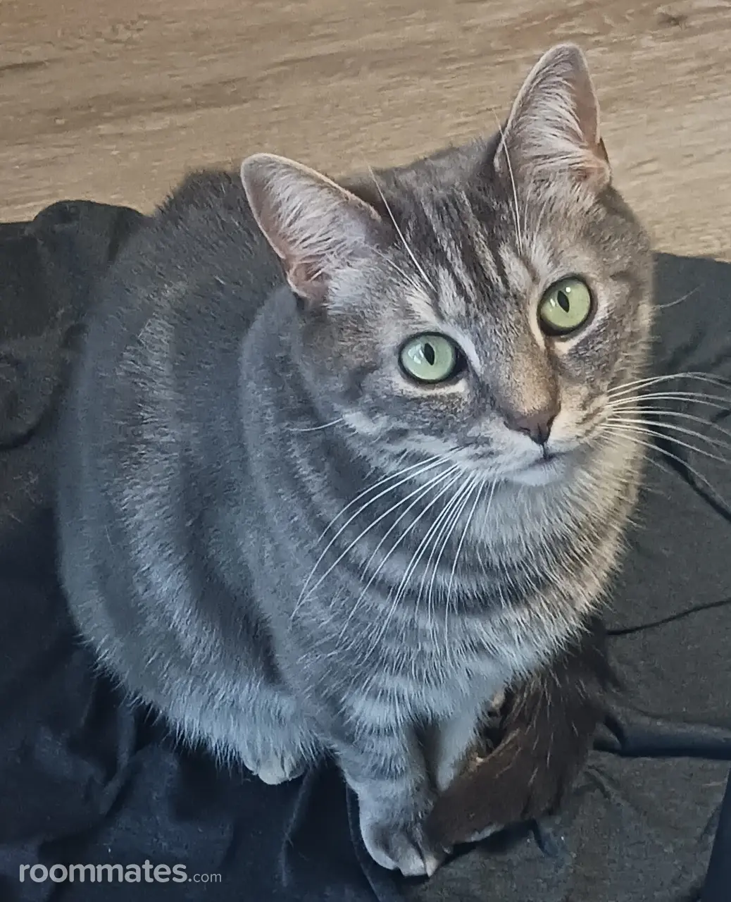 Profile photo 1 of 1