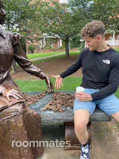 Roommate looking Greenville, SC, $600