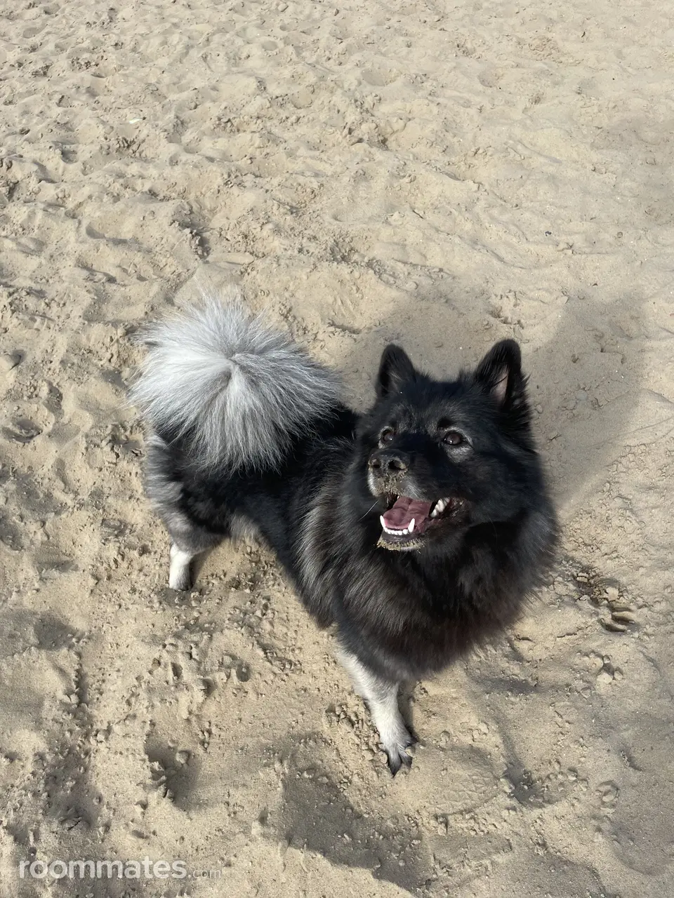 Profile photo 2 of 2