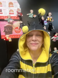 Roommate looking Baltimore Highlands, MD, $1000