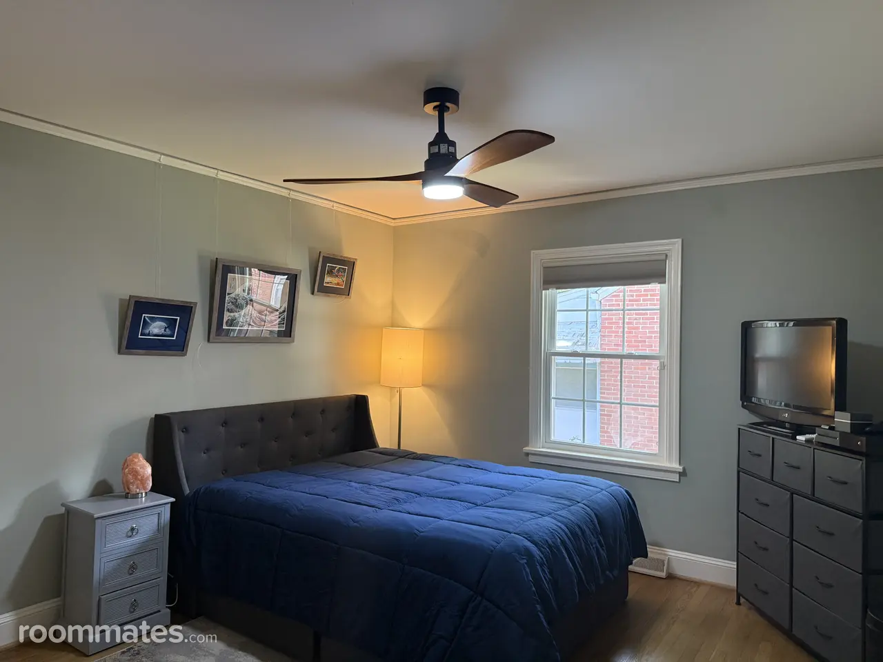 Profile photo 5 of 11