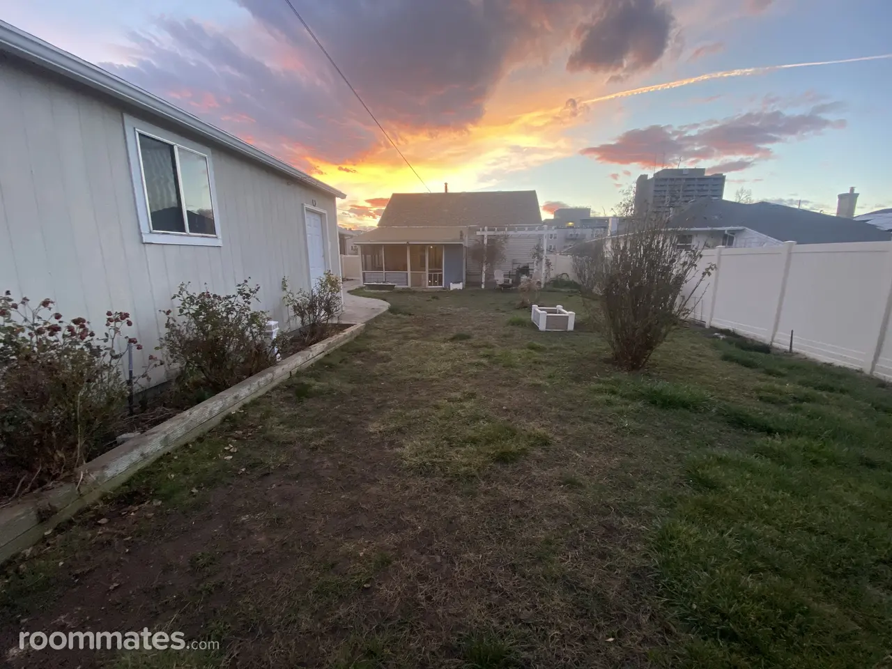 Profile photo 5 of 11