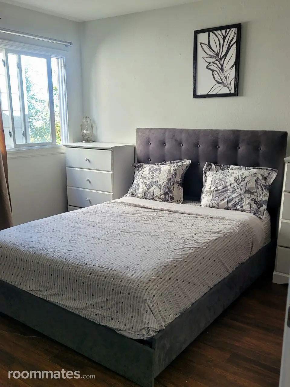 Profile photo 8 of 11