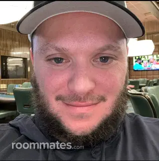 Roommate looking Chicago IL, $1000