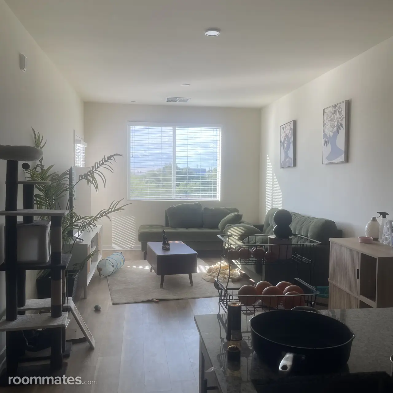 Profile photo 8 of 15