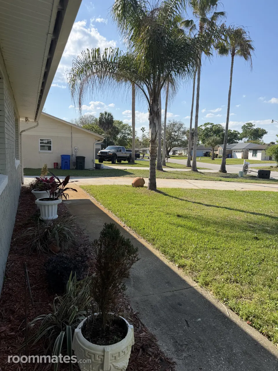 Profile photo 10 of 12