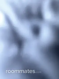 Roommate looking Falling Waters, WV, $800