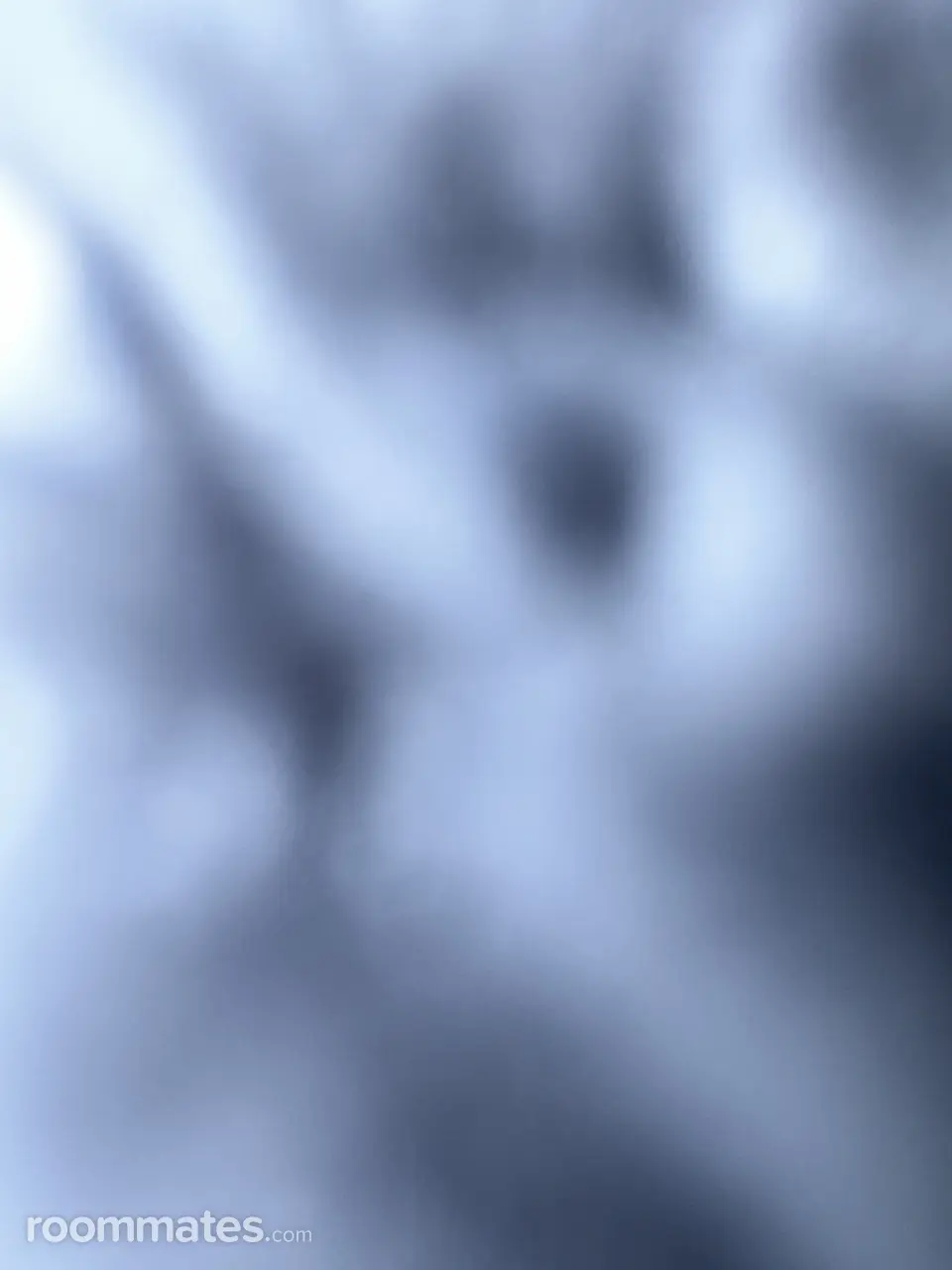 Profile photo 1 of 1