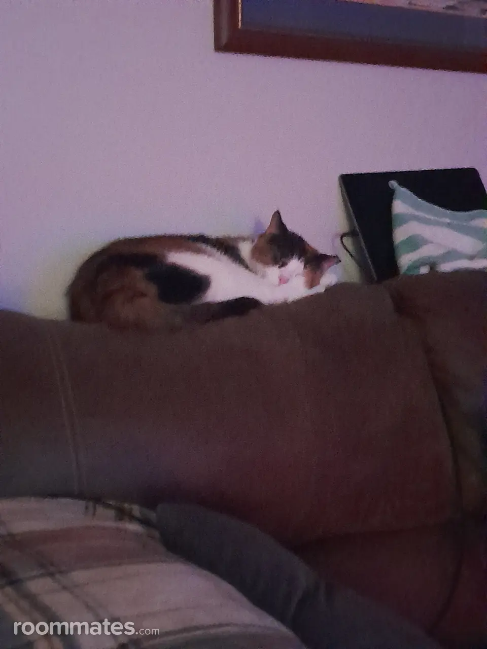 Profile photo 2 of 3