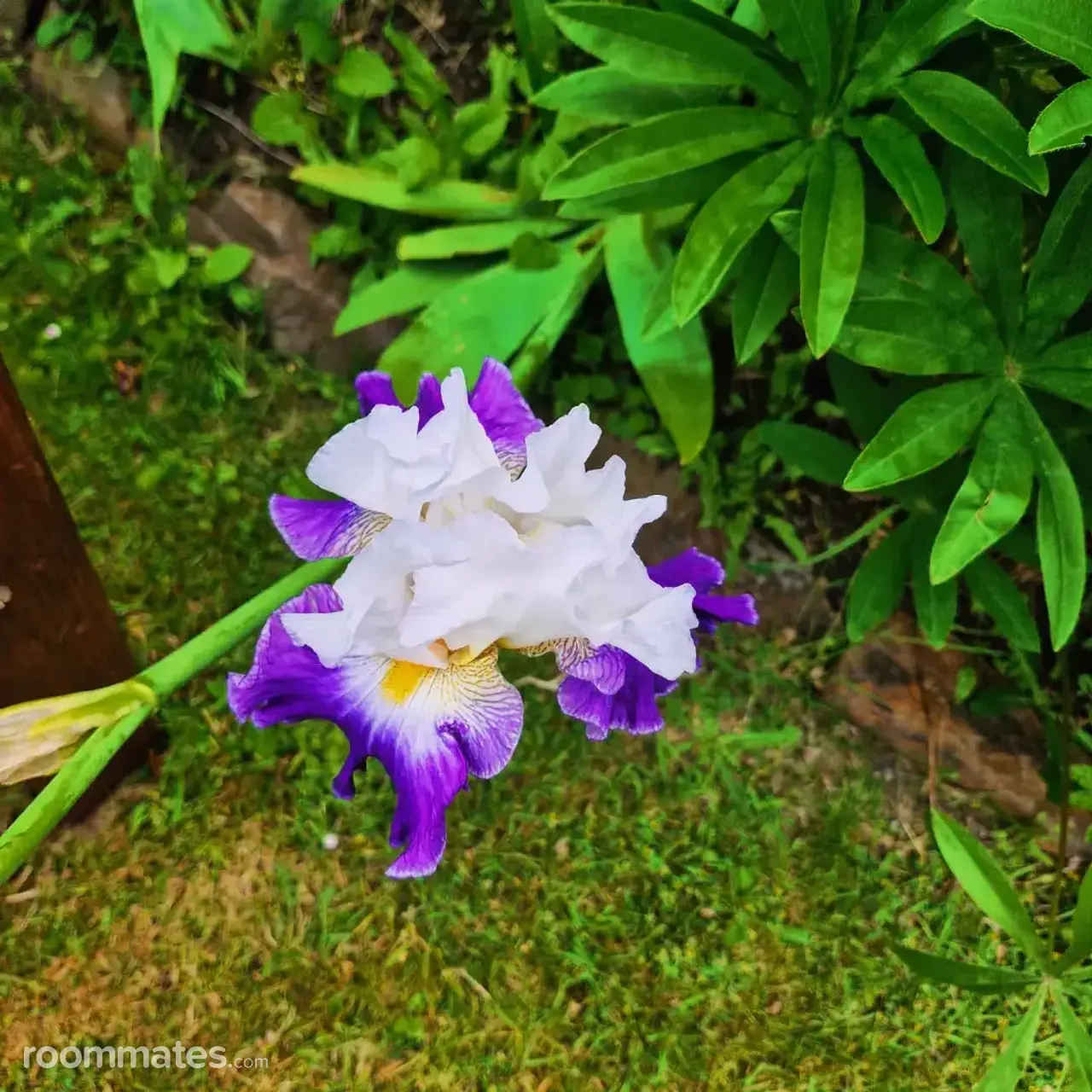 Profile photo 1 of 1