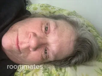 Roommate looking Monroe, NC, $600