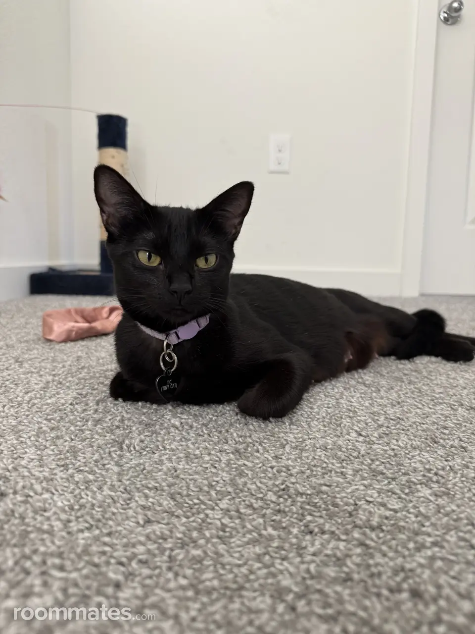 Profile photo 14 of 15