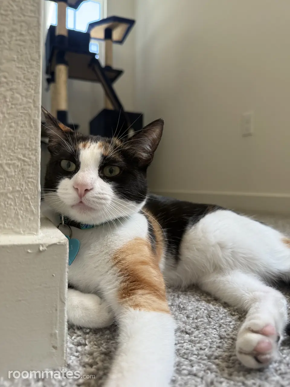 Profile photo 13 of 15