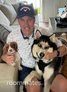 Roommate looking Sarasota, FL, $1000