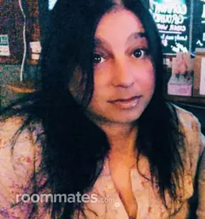 Roommate looking Milford, MA, $2000