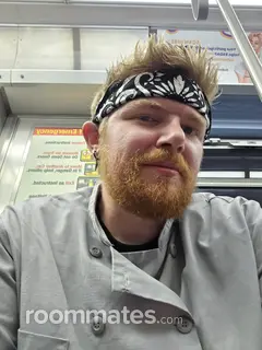 Roommate looking Chicago, IL, $1200