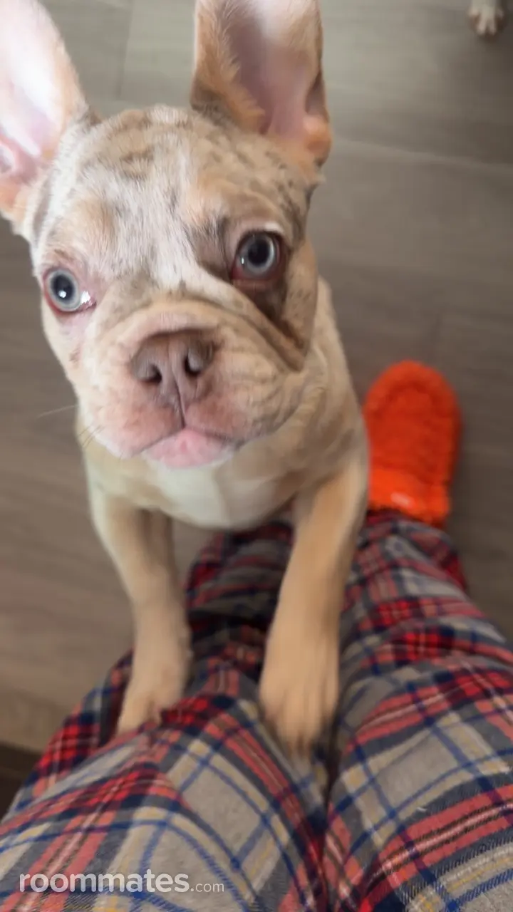 Profile photo 8 of 9