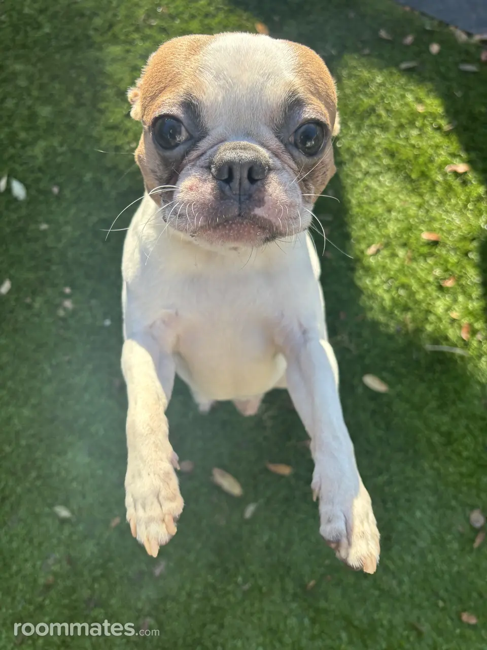 Profile photo 7 of 9