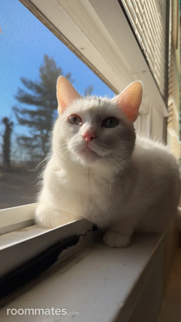 Profile photo 4 of 8