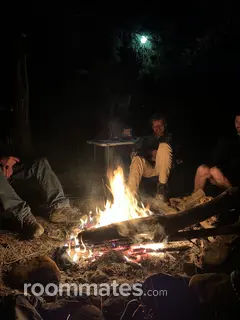 Roommate looking Keller, TX, $1000