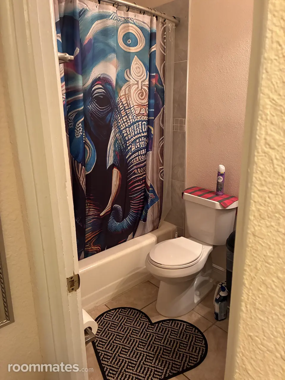 Profile photo 4 of 11