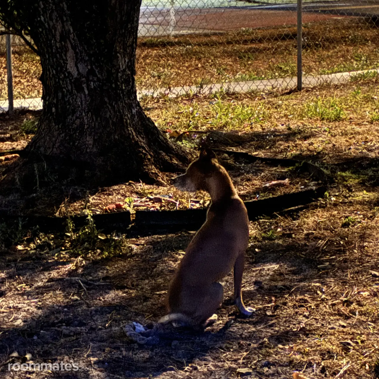 Profile photo 11 of 11