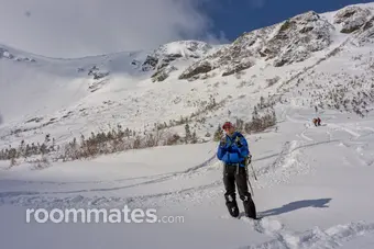 Roommate looking Allston, MA, $1900