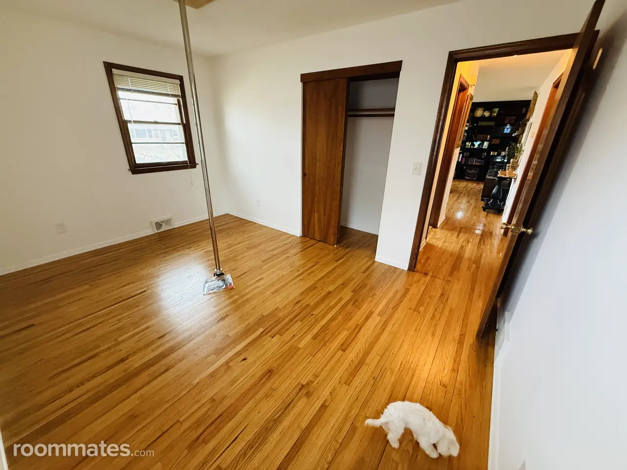 Profile photo 1 of 10