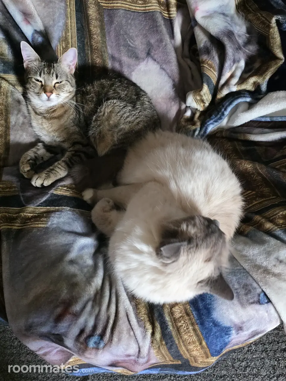 Profile photo 7 of 10