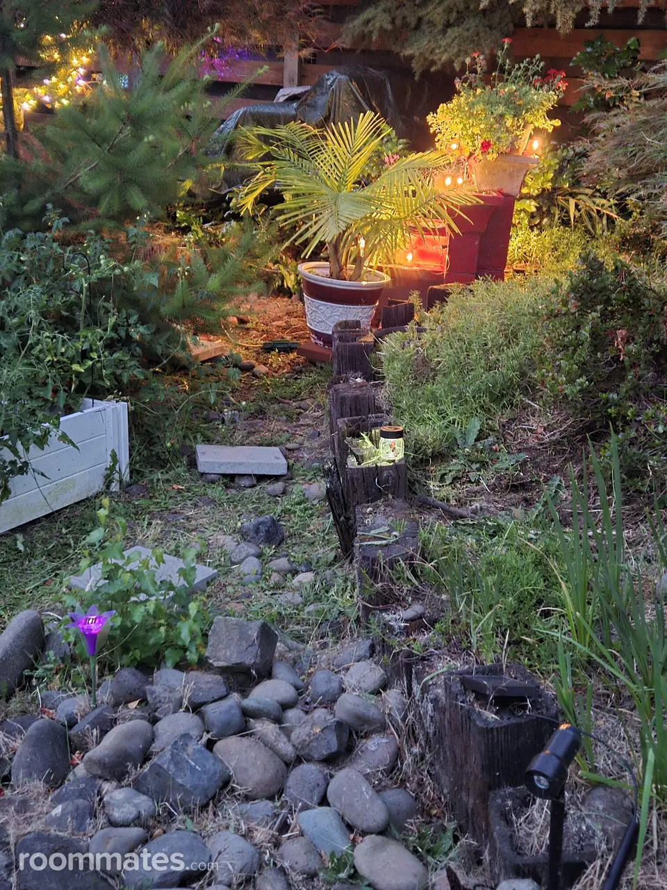 Profile photo 4 of 4