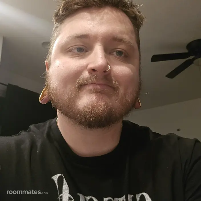 Roommate looking Mesa, AZ, $700