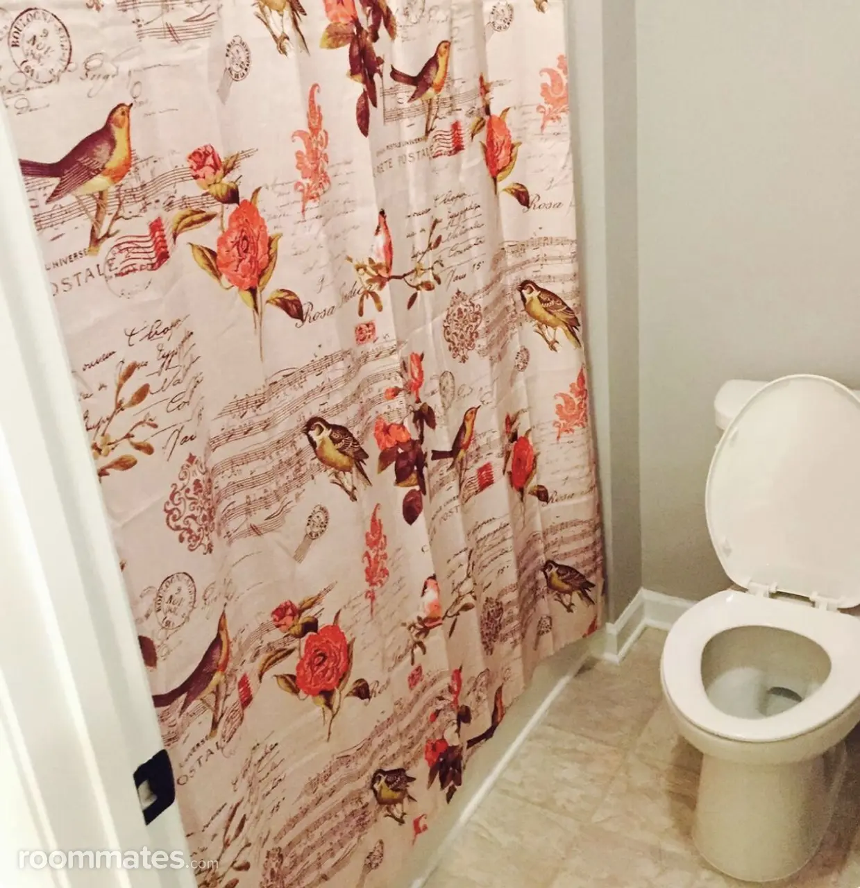 Profile photo 10 of 11