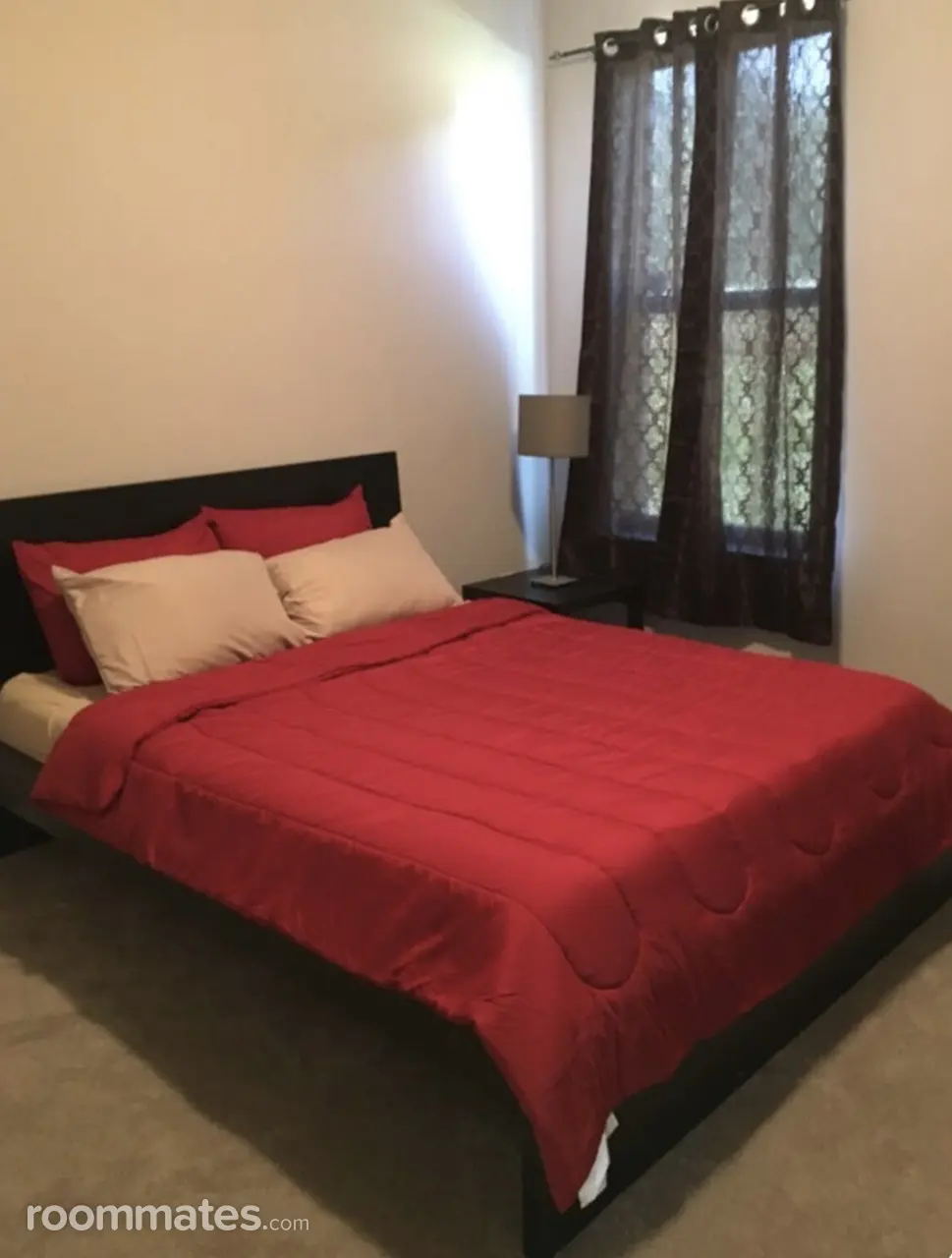 Profile photo 9 of 11