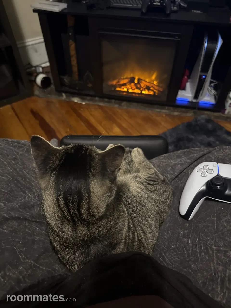 Profile photo 10 of 11