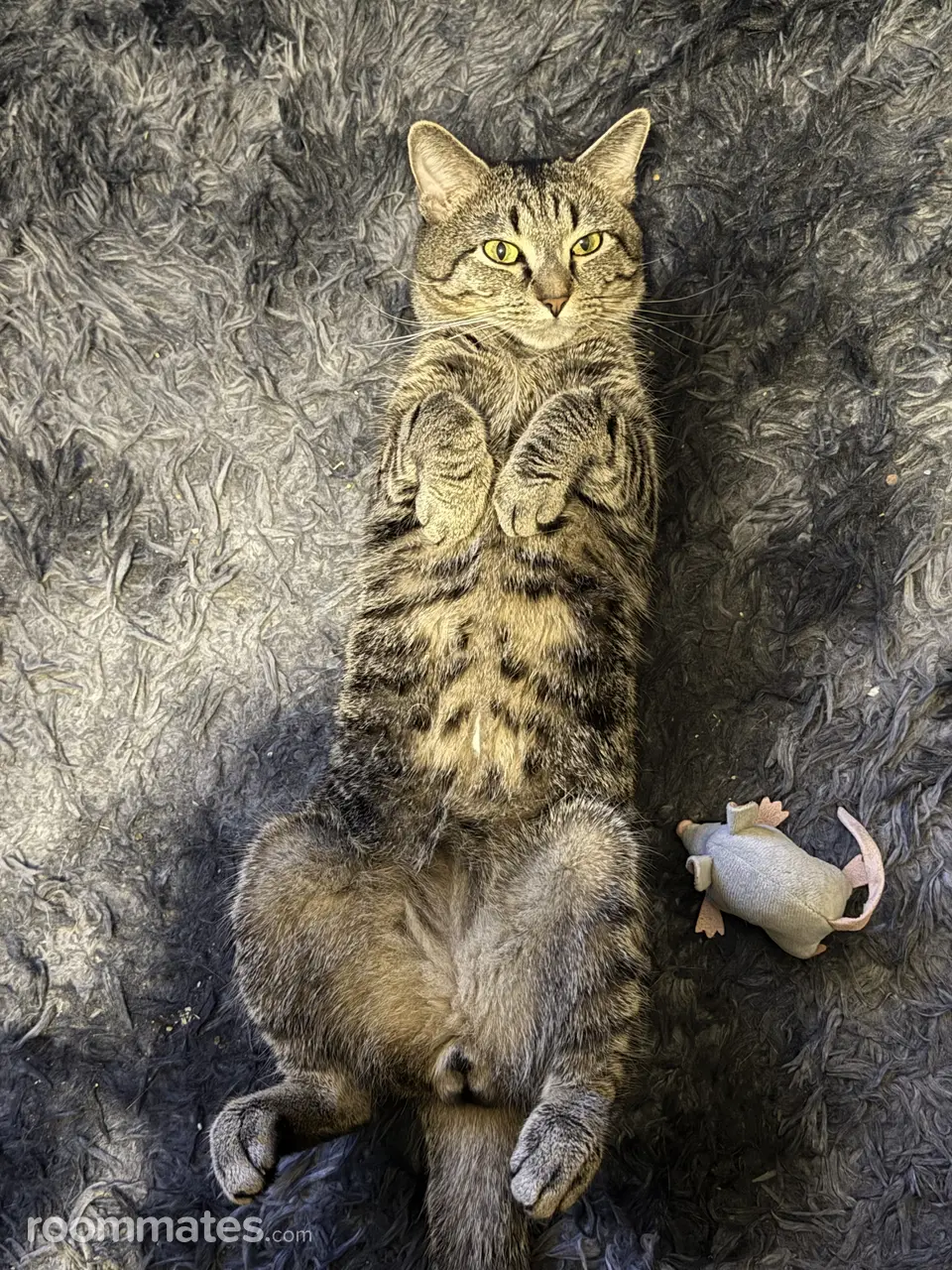 Profile photo 11 of 11