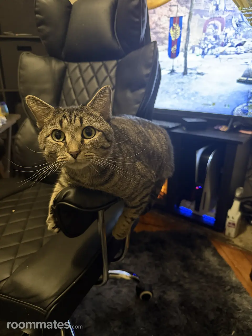 Profile photo 4 of 11