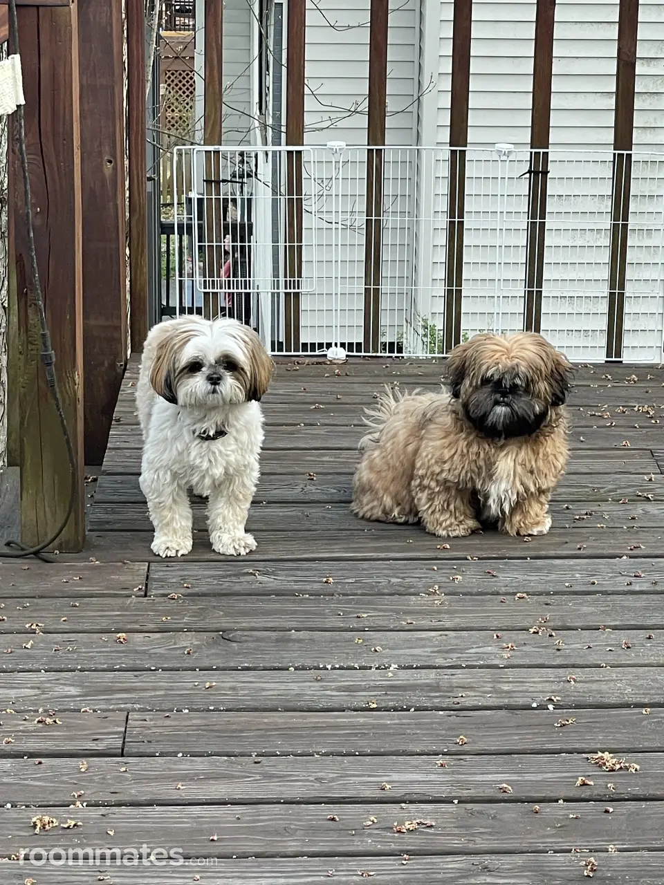 Profile photo 6 of 9