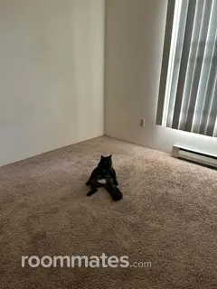 Room for rent in Independence, OR $650, townhouse