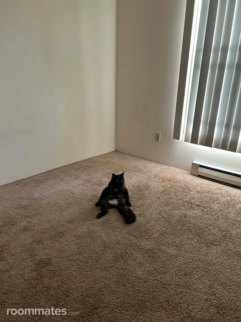 Profile photo 1 of 3