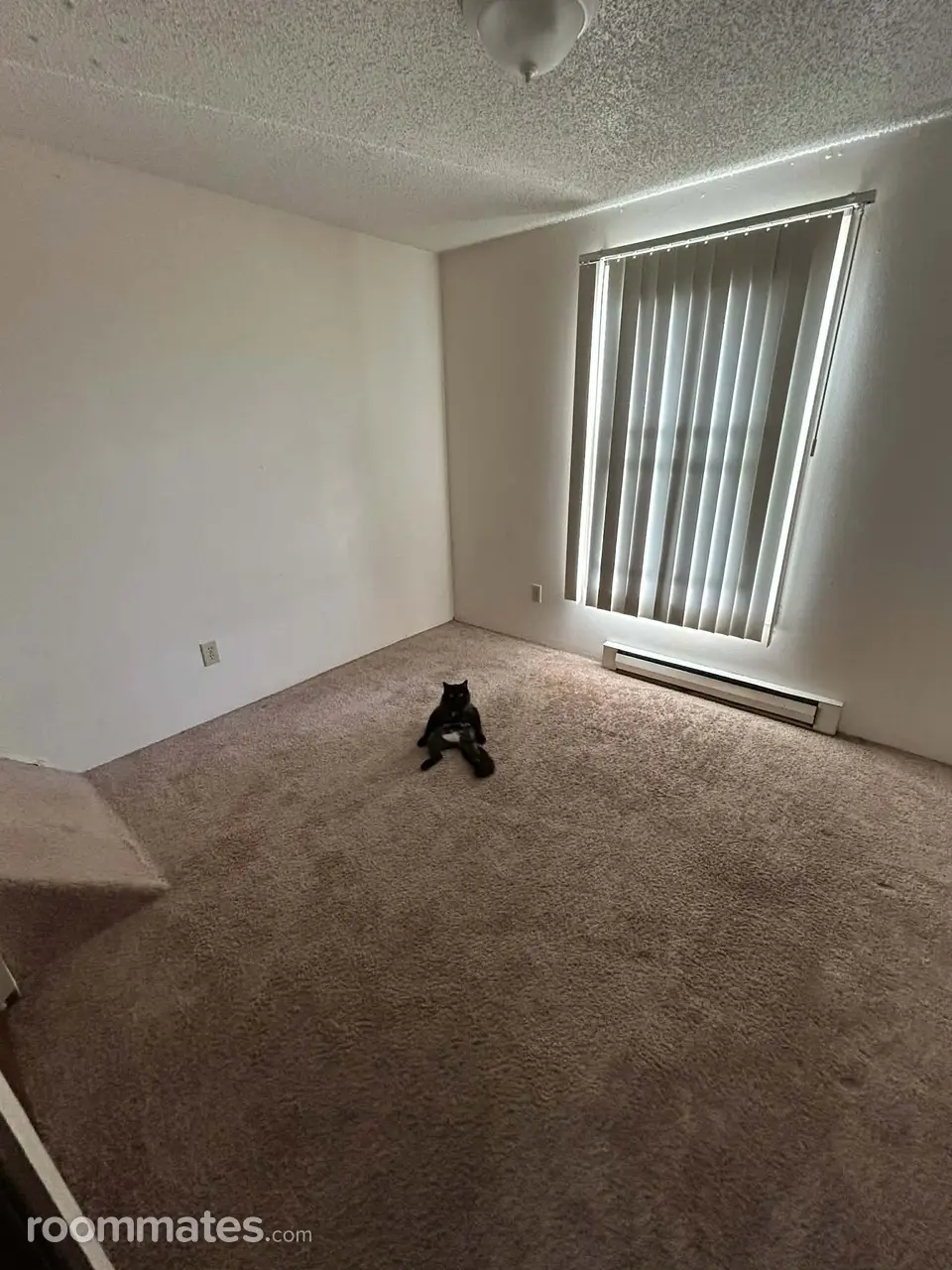 Profile photo 2 of 3