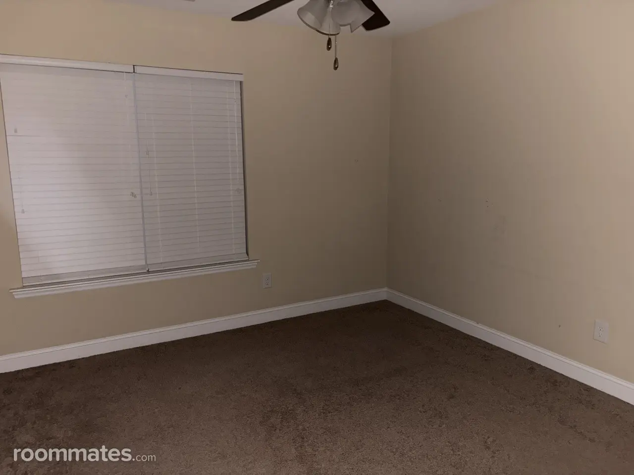 Profile photo 1 of 2