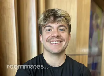 Roommate looking Charlotte, NC, $800